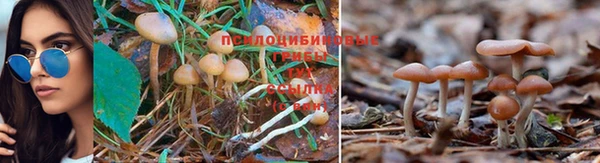 таблы Арсеньев