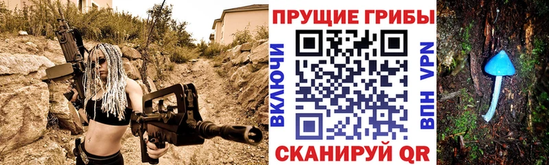 MEGA сайт  Балтийск  Псилоцибиновые грибы мухоморы 