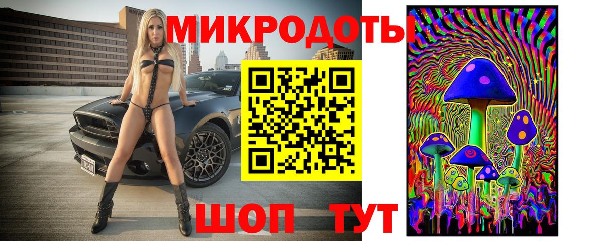 Галлюциногенные грибы Psilocybe Балтийск