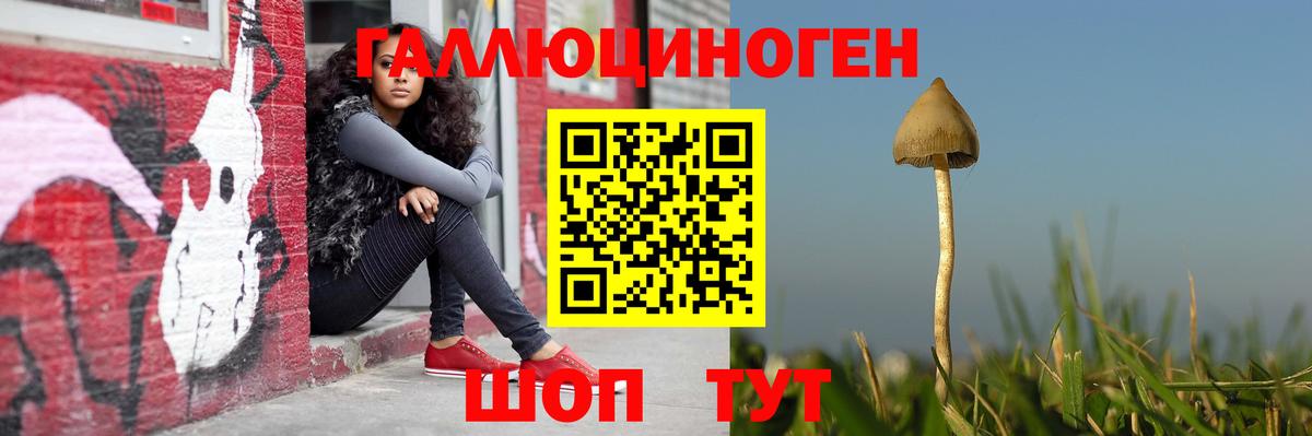 Галлюциногенные грибы мухоморы  Псилоцибиновые грибы GOLDEN TEACHER  Вход с VPN  Балтийск 